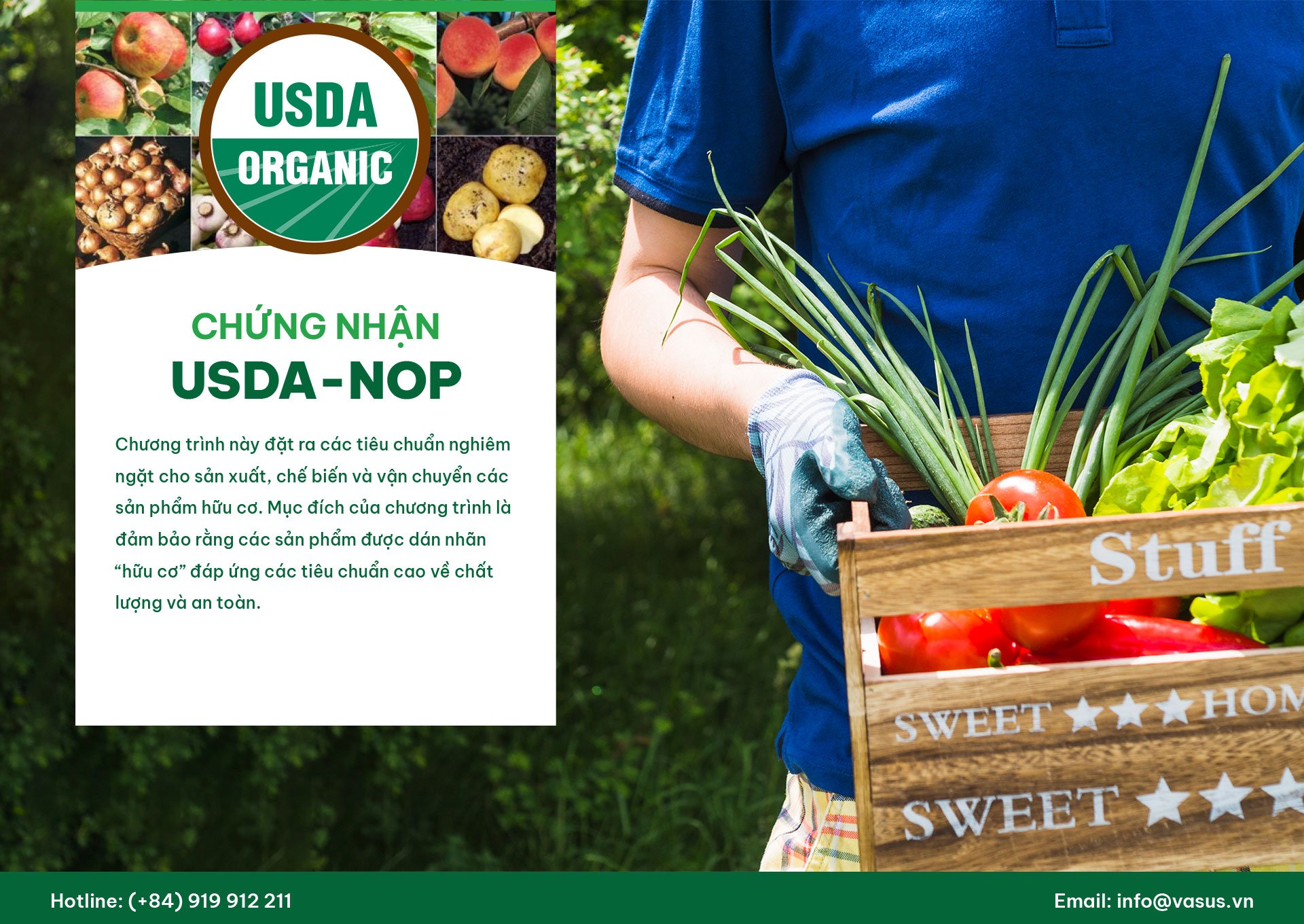 Tư vấn chứng nhận Organic (EU, USDA) cho nông sản xuất khẩu